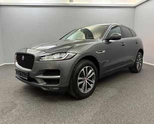 Jaguar F-Pace Gebrauchtwagen