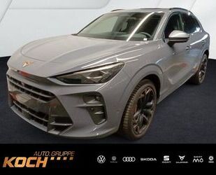 Cupra Terramar Gebrauchtwagen
