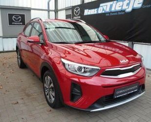 Kia Stonic Gebrauchtwagen