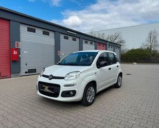 Fiat Panda Gebrauchtwagen