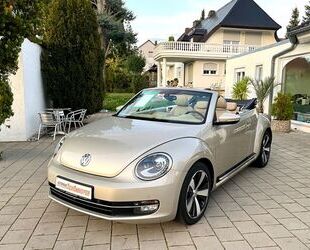 VW Beetle Gebrauchtwagen