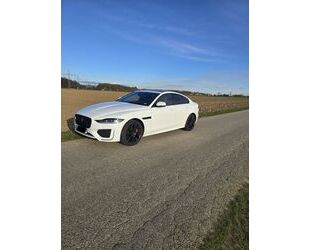 Jaguar XE Gebrauchtwagen