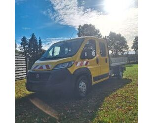 Fiat Ducato Gebrauchtwagen