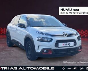 Citroen C4 Cactus Gebrauchtwagen
