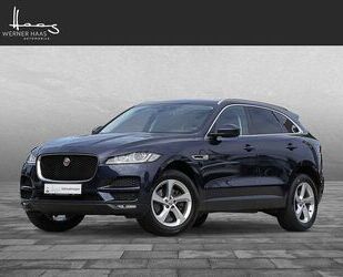 Jaguar F-Pace Gebrauchtwagen