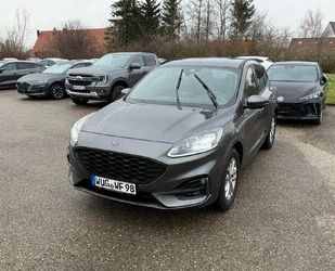 Ford Kuga Gebrauchtwagen