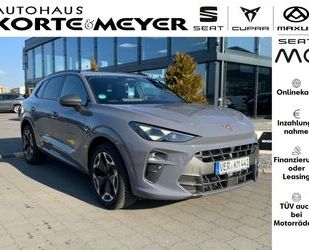 Cupra Terramar Gebrauchtwagen