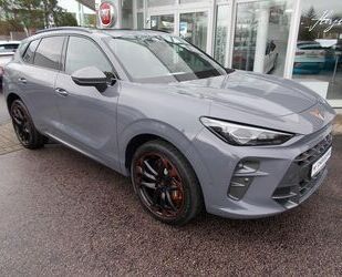 Cupra Terramar Gebrauchtwagen