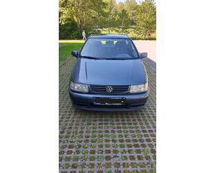 VW Polo 