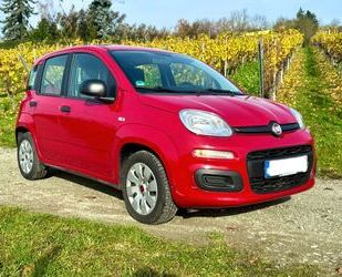 Fiat Panda Gebrauchtwagen