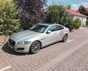 Jaguar XF Gebrauchtwagen