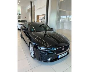Jaguar XE Gebrauchtwagen