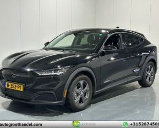 Ford Mustang Mach-E Gebrauchtwagen