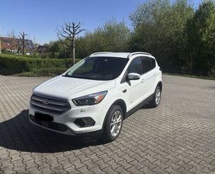 Ford Kuga Gebrauchtwagen