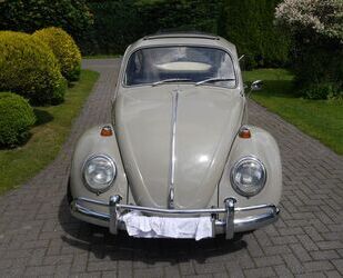 VW Käfer Gebrauchtwagen