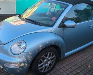 VW Beetle Gebrauchtwagen
