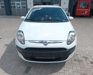 Fiat Punto Gebrauchtwagen