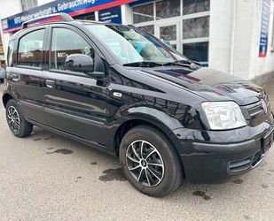 Fiat New Panda Gebrauchtwagen