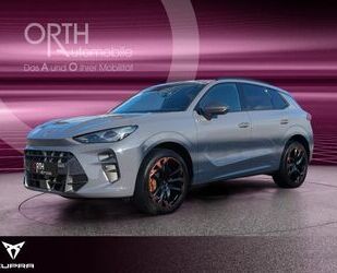 Cupra Terramar Gebrauchtwagen