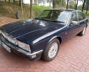 Jaguar XJ40 Gebrauchtwagen