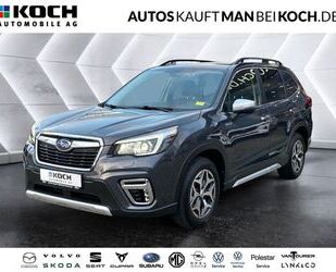 Subaru Forester Gebrauchtwagen