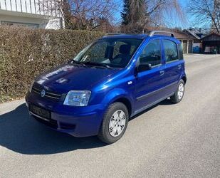 Fiat New Panda Gebrauchtwagen