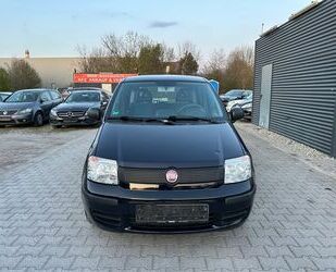 Fiat Panda Gebrauchtwagen