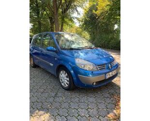 Renault Scenic Gebrauchtwagen