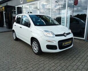 Fiat Panda Gebrauchtwagen