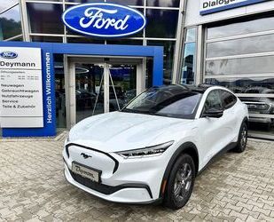 Ford Mustang Mach-E Gebrauchtwagen