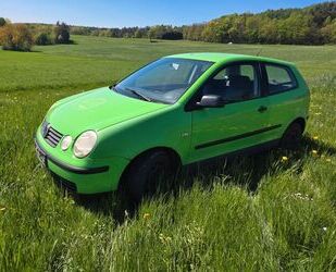 VW Polo Gebrauchtwagen