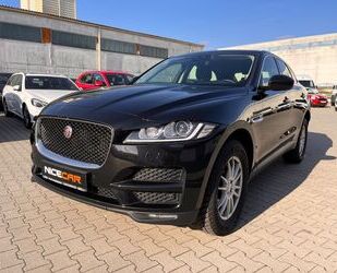 Jaguar F-Pace Gebrauchtwagen