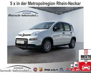 Fiat Panda Gebrauchtwagen