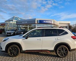 Subaru Forester Gebrauchtwagen