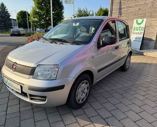 Fiat Panda Gebrauchtwagen