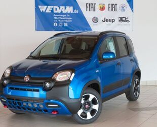 Fiat Panda Gebrauchtwagen