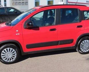Fiat Panda Gebrauchtwagen