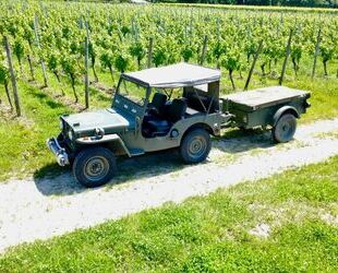 Jeep Willys Oldtimer