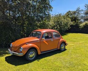 VW Käfer Gebrauchtwagen