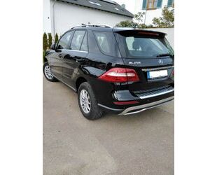 Mercedes-Benz ML 250 Gebrauchtwagen