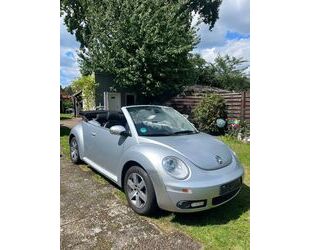 VW Beetle Gebrauchtwagen