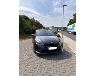 Kia ceed / Ceed Gebrauchtwagen