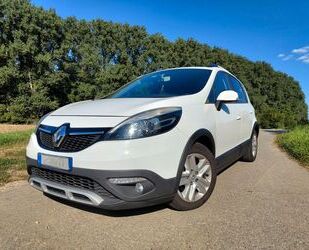 Renault Scenic Gebrauchtwagen
