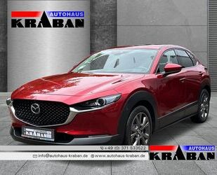 Mazda CX-30 Gebrauchtwagen