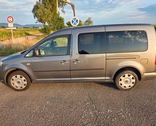 VW Caddy Maxi Gebrauchtwagen