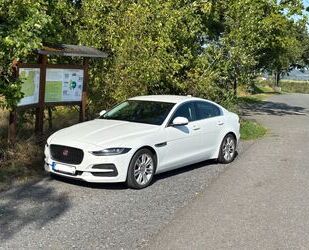 Jaguar XE Gebrauchtwagen