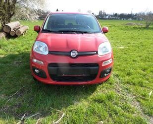 Fiat New Panda Gebrauchtwagen