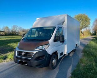 Fiat Ducato Gebrauchtwagen