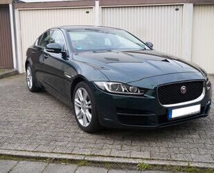 Jaguar XE Gebrauchtwagen
