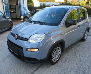 Fiat Panda Gebrauchtwagen